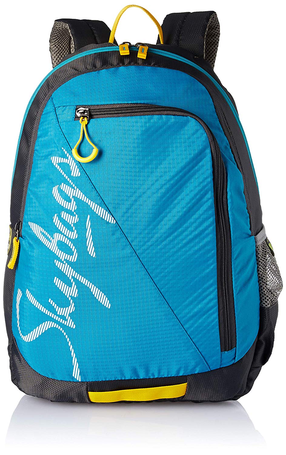 Best Backpacks for College Students (Unisex) in 2022: The Ultimate Guide 4 Skybags Bagpacks for College Students