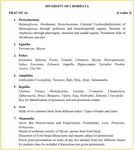 Diversity of Chordata Practicals List: BSc Zoology Syllabus